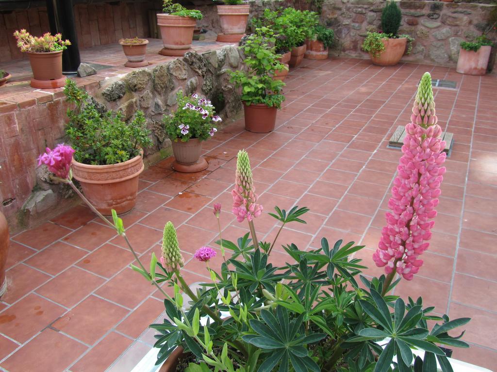 Ezcaray Turza Casa Rural Completa Hasta 8Pax Zewnętrze zdjęcie